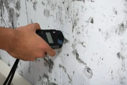 Damp and moisture investigation in Essex property using professional testing equipment